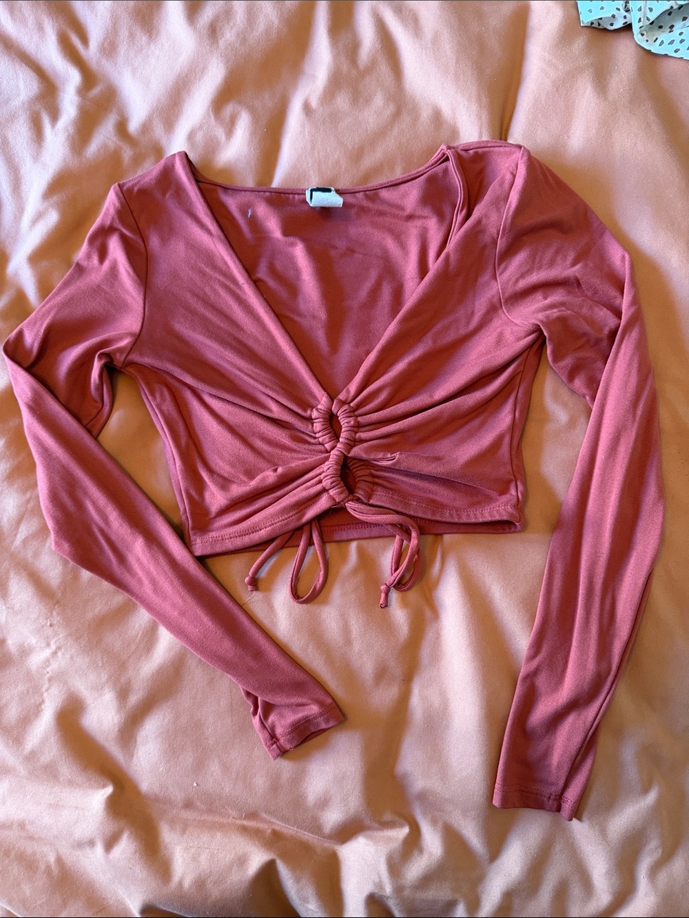 Windsor Ruched Front Long Sleeve Crop Top in Dusty Rose
